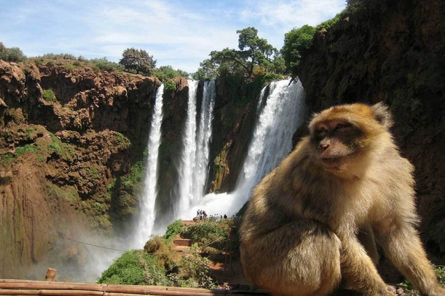 2Marrakech-To-Ouzoud-Waterfalls-aventurevoyagemaroc