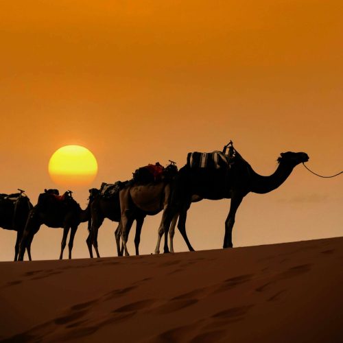 aventure-voyage-maroc